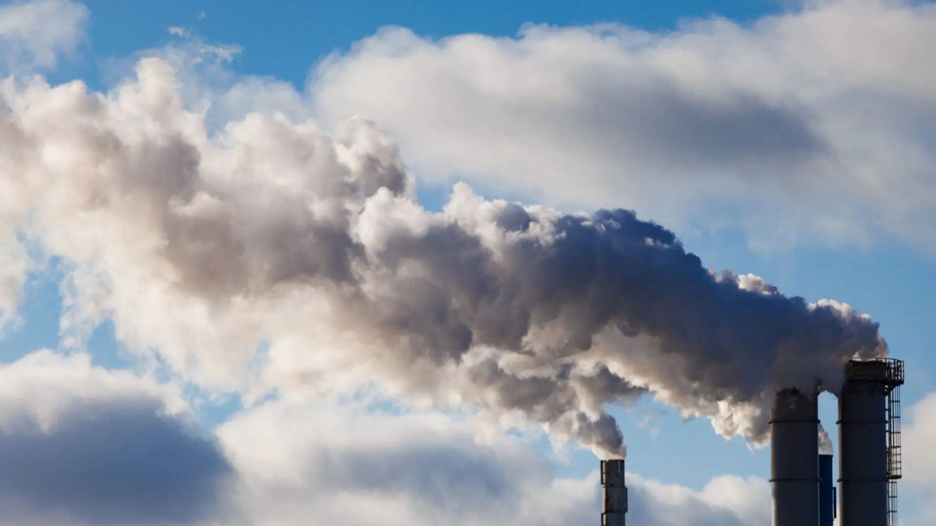 Climate Disclosure