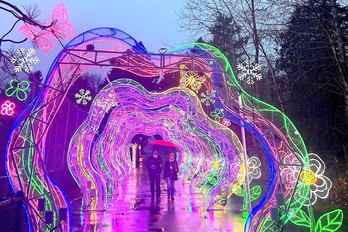 Aldergrove Zoo holiday lights display