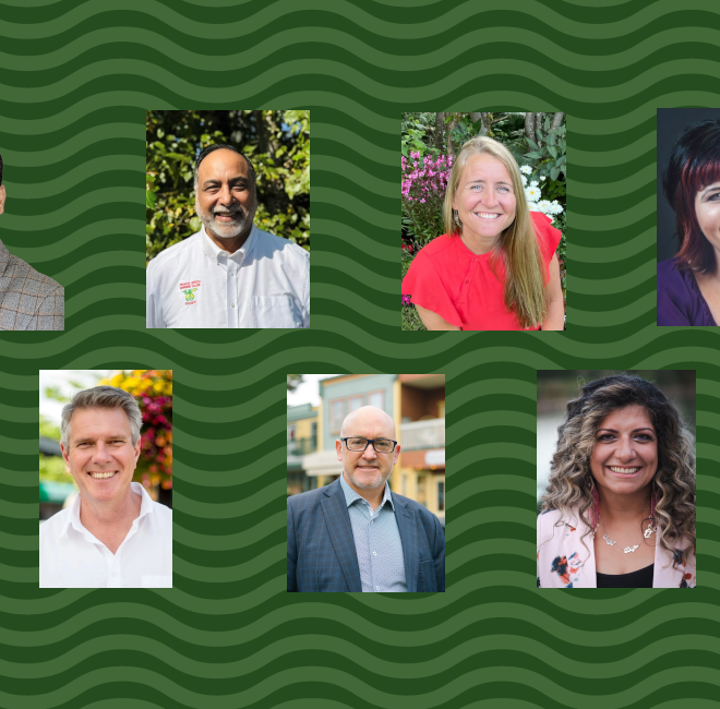 Image of: The Omnibus Guide to Langley Township's 2025 Byelection: Where All Seven Candidates Stand on Key Issues